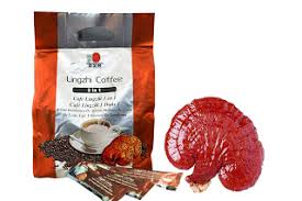LINGZHI COFFEE 3-1